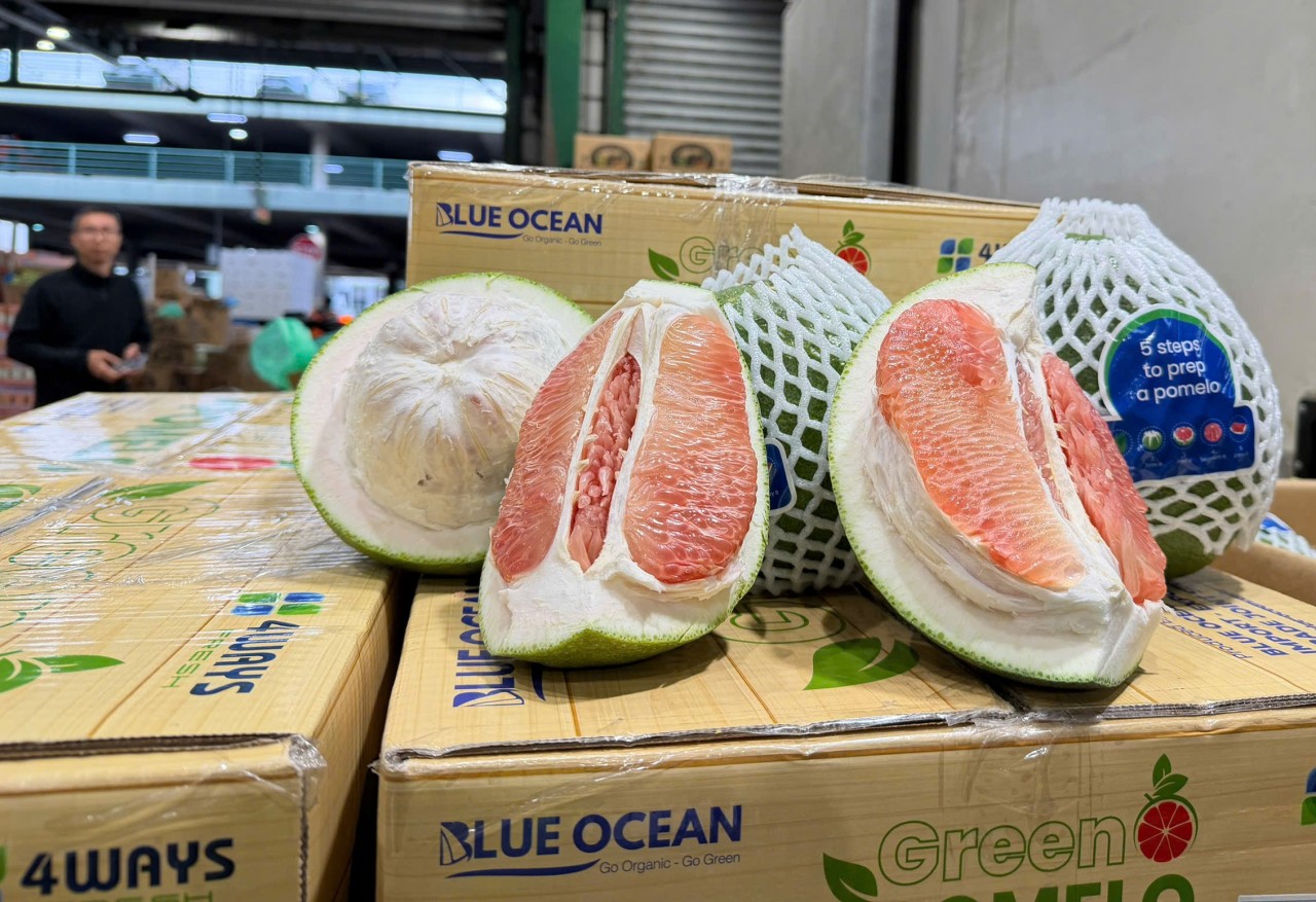 Bưởi tươi của Việt Nam đã thông quan vào được thị trường Australia